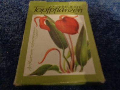 Kartenspiel-Beliebte Topfpflanzen-Lehrquartett