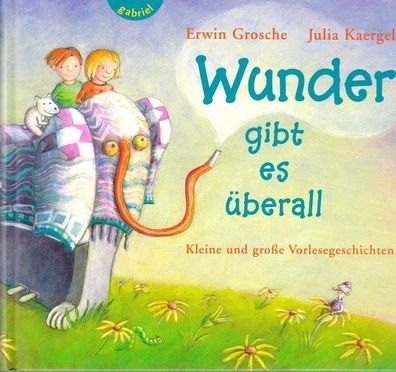 Wunder gibt es überall von Erwin Grosche, Julia Kaergel NEU
