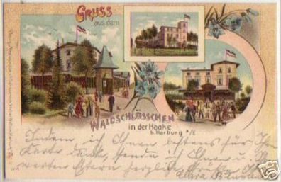 07805 Ak Lithographie Gruß aus Haake bei Harburg 1900