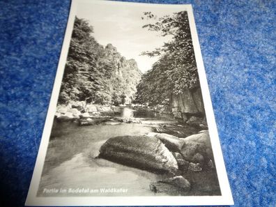 5473 Postkarte, Ansichtskarte -Partie im Bodetal am Waldkater
