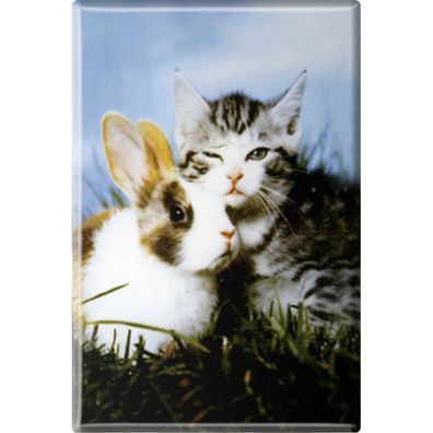 Kühlschrankmagnet - Katze Kätzchen Hase - Gr. ca. 8 x 5,5 cm - 38445 - Magnet Küch