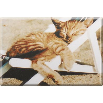 Kühlschrankmagnet - Katze Kätzchen - Gr. ca. 8 x 5,5 cm - 38428 - Magnet Küchenmag