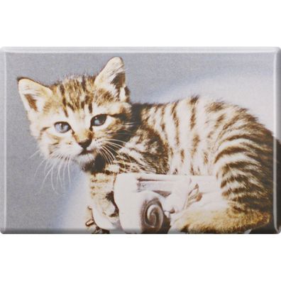 Kühlschrankmagnet - Katze Kätzchen - Gr. ca. 8 x 5,5 cm - 38448 - Magnet Küchenmag