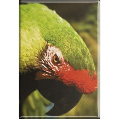 Kühlschrankmagnet - Vogel Papageien - Gr. ca. 8 x 5,5 cm - 37232 - Magnet Küchenmag