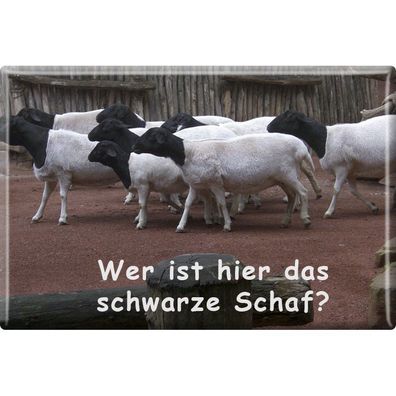 Kühlschrankmagnet - Ziegen - Schwarzes Schaf - Gr. ca. 8 x 5,5 cm - 38839 - Magnet K