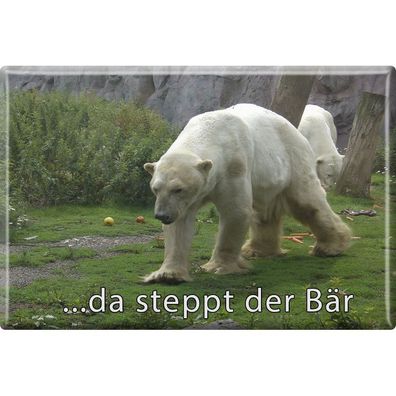 Tiermagnet - Da steppt der Bär - Gr. ca. 8 x 5,5 cm - 38849 - Küchenmagnet