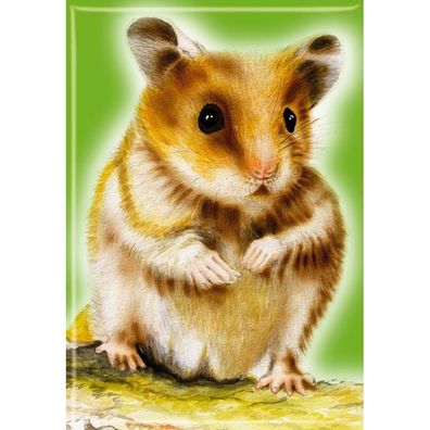 Tiermagnet - Hamster - Gr. ca. 8 x 5,5 cm - 38491 - Küchenmagnet