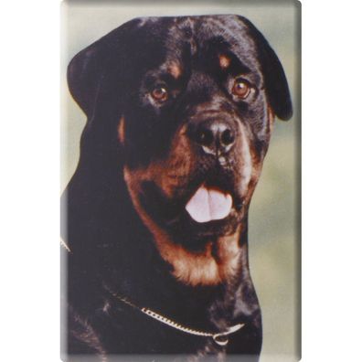 Tiermagnet - Hund Welpe - Gr. ca. 8 x 5,5 cm - 38471 - Küchenmagnet