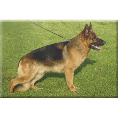 Tiermagnet - Hunde Schäferhund - Gr. ca. 8 x 5,5 cm - 38473 - Küchenmagnet