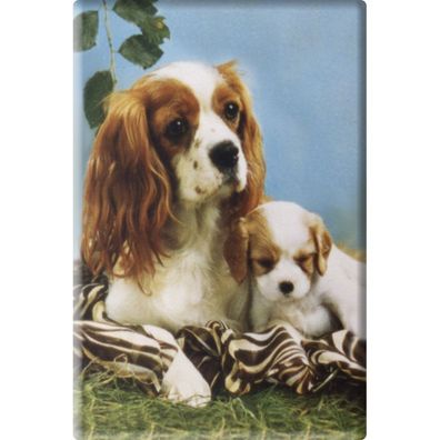 Tiermagnet - Hund Welpe - Gr. ca. 8 x 5,5 cm - 38477 - Küchenmagnet