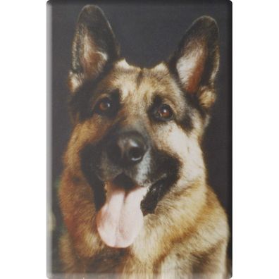 Tiermagnet - Hunde Schäferhund - Gr. ca. 8 x 5,5 cm - 38475 - Küchenmagnet
