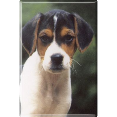 Tiermagnet - Hunde Welpe - Gr. ca. 8 x 5,5 cm - 38444 - Küchenmagnet