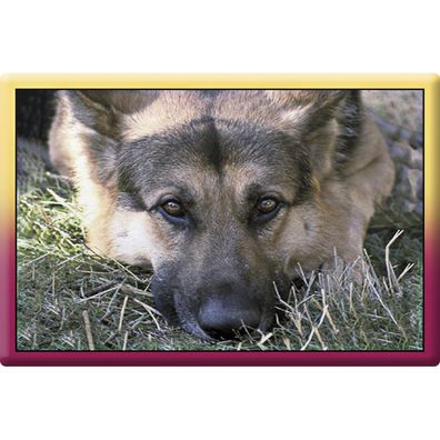 Tiermagnet - Hunde Schäferhund - Gr. ca. 8 x 5,5 cm - 38476 - Küchenmagnet