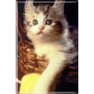 Tiermagnet - Katze Kätzchen - Gr. ca. 8 x 5,5 cm - 38447 - Küchenmagnet