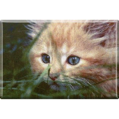 Tiermagnet - Katze Kätzchen - Gr. ca. 8 x 5,5 cm - 38449 - Küchenmagnet