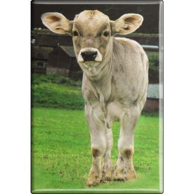 Tiermagnet - Kuh Kälbchen - Gr. ca. 8 x 5,5 cm - 38316 - Küchenmagnet