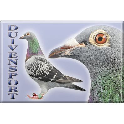 Tiermagnet - Taubensport Duivensport - Gr. ca. 8 x 5,5 cm - 38205 - Küchenmagnet