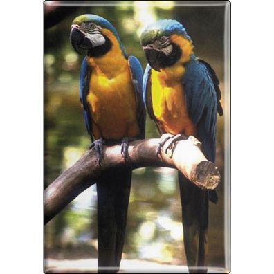 Tiermagnet - Vogel Papageien - Gr. ca. 8 x 5,5 cm - 37234 - Küchenmagnet