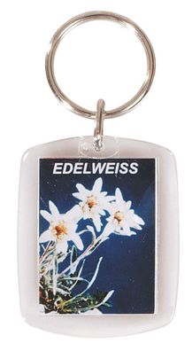 Schlüsselanhänger - Edelweiss - Gr. ca. 4 x 6 cm - 03437