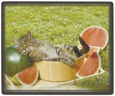 Mauspad Mousepad - Kätzchen liegend mit Melonen - KA287