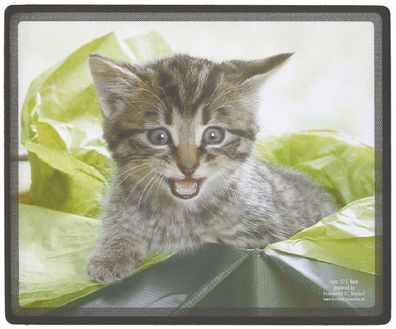 Mauspad Mousepad Tiermotiv - Kätzchen im Karton - KA284