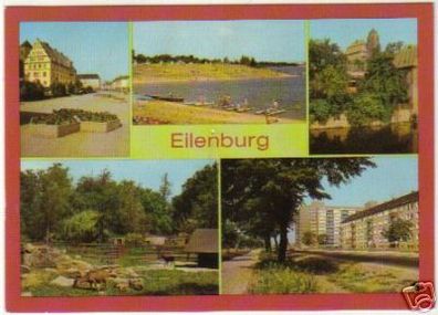 12166 Mehrbild Ak Eilenburg Tierpark, Ost Vorstadt usw.