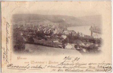 08592 Ak Gruss aus Waldshut in Baden Totalansicht 1898