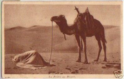 12616 Ak Tunesien Moslem im Gebet, Dromedar, Wüste 1928