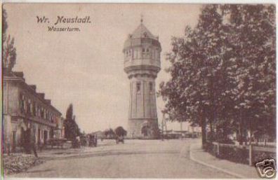 12521 Ak Wr. Neustadt Wassertum um 1920