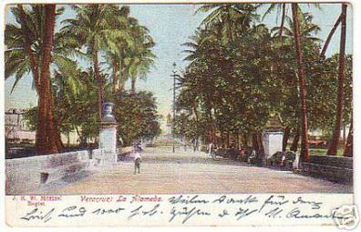 12707 Ak Veracruz La Alameda Mexiko 1910