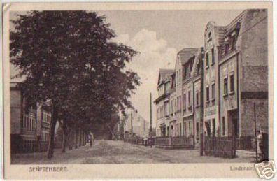 14372 Ak Senftenberg Lindenstraße um 1920