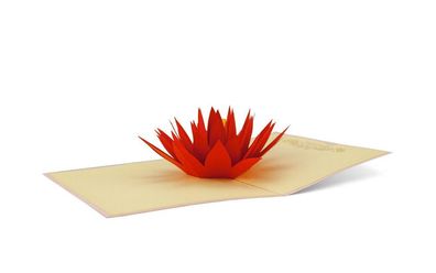 3D Klappkarte "Seerose" Glückwunschkarte Grußkarte PopUp Karte Blumen