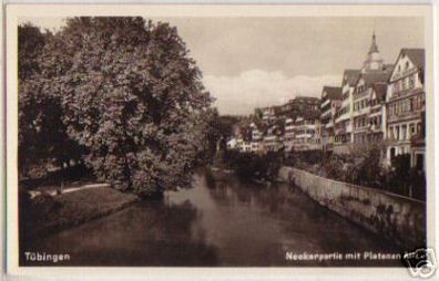 14960 Ak Tübingen Neckarpartie mit Platanen Allee 1932
