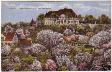 12983 Ak Guben Engelmanns Berg in der Baumblüte um 1925