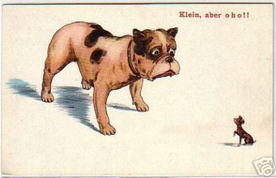16077 Humor Ak Hund "Klein, aber o h o !" um 1920