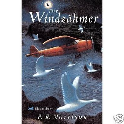 Der Windzähmer von P. R. Morrison NEU