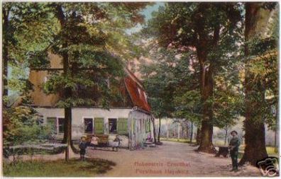 17850 Ak Hohenstein Ernstthal Forsthaus Haynholz 1908