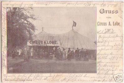 16664 Ak Gruss vom Circus A.Lobe 1901