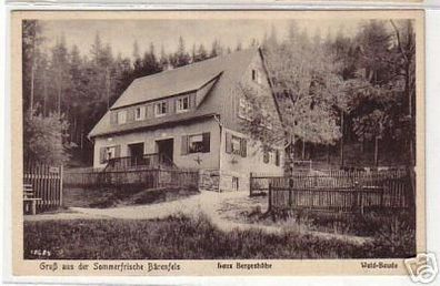 09534 Ak Gruß aus der Sommerfrische Bärenfels 1928