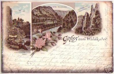 16644 Ak Lithographie Gruß vom Waldkater Bodethal 1898