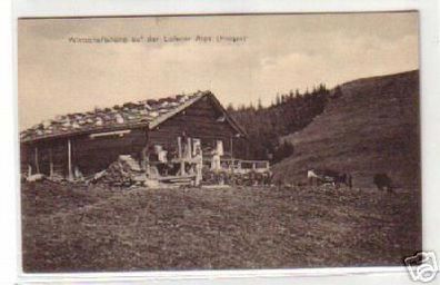 09336 Ak Wirtschaftshütte auf der Loferer Alpe Pinzgau