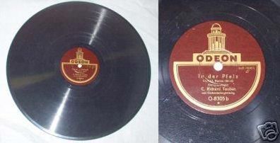 Schellack Platte Odeon Nr. O-8305 Richard Tauber (3)