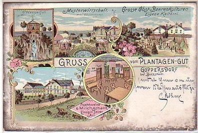03001 Ak Lithographie Gruß aus Göppersdorf 1899
