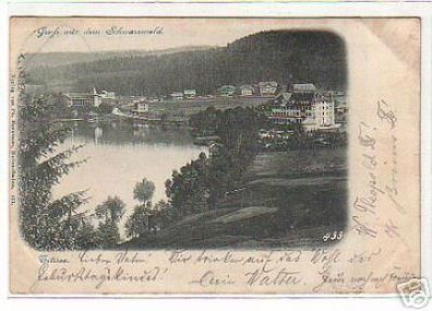 schöne Ak Gruss aus Schwarzwald Titisee 1900