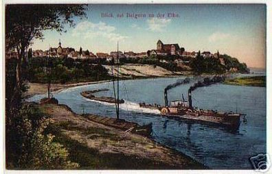 03929 Ak Blick auf Belgern an der Elbe um 1910