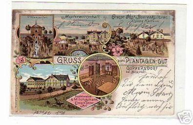 schöne Ak Gruss vom Gasthof Göppersdorf 1902