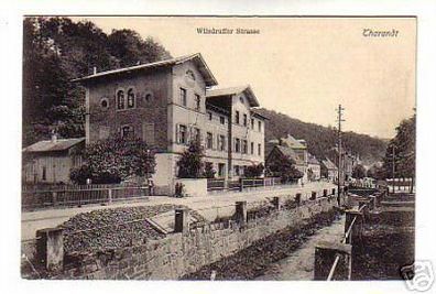 schöne Ak Tharandt Wilsdruffer Strasse 1910