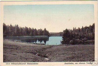 schöne Ak Höhenluftkurort Hahnenklee im Harz um 1930