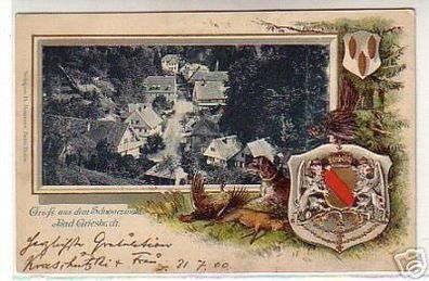 00492 Ak Gruss aus dem Schwarzwald Bad Griesbach 1900