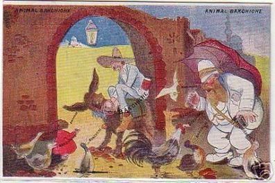 09310 Humor Ak Ägypten "Animal Bakchiche" um 1910
